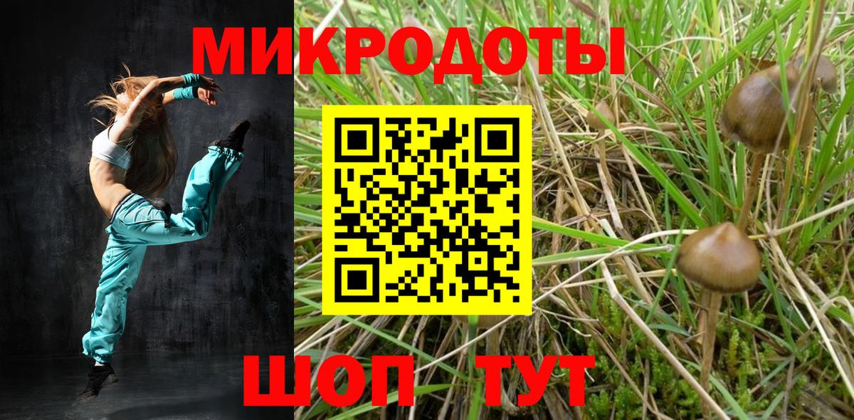 Галлюциногенные грибы Cubensis Балашиха