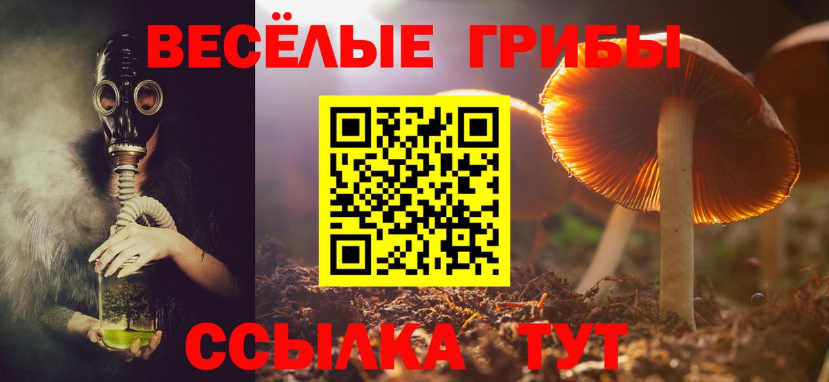 Балашиха  даркнет сайт  Вход с VPN  Галлюциногенные грибы Psilocybe 